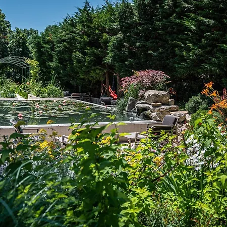 Romance And Family Sveti Konstantin